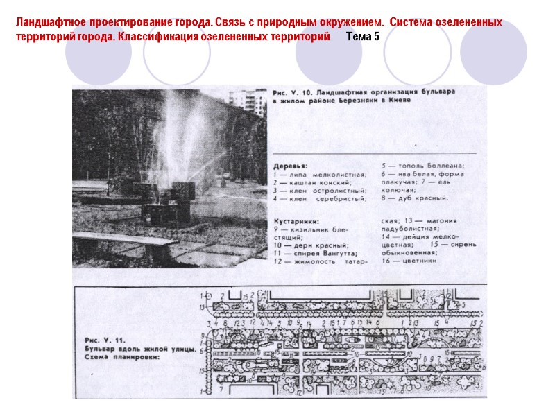 Ландшафтное проектирование города. Связь с природным окружением.  Система озелененных территорий города. Классификация озелененных